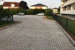 IMG_4151